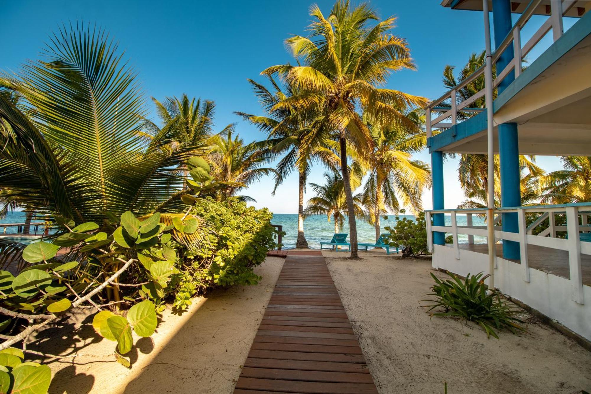 Beachside Villas Gold Standard Certified Placencia 部屋 写真