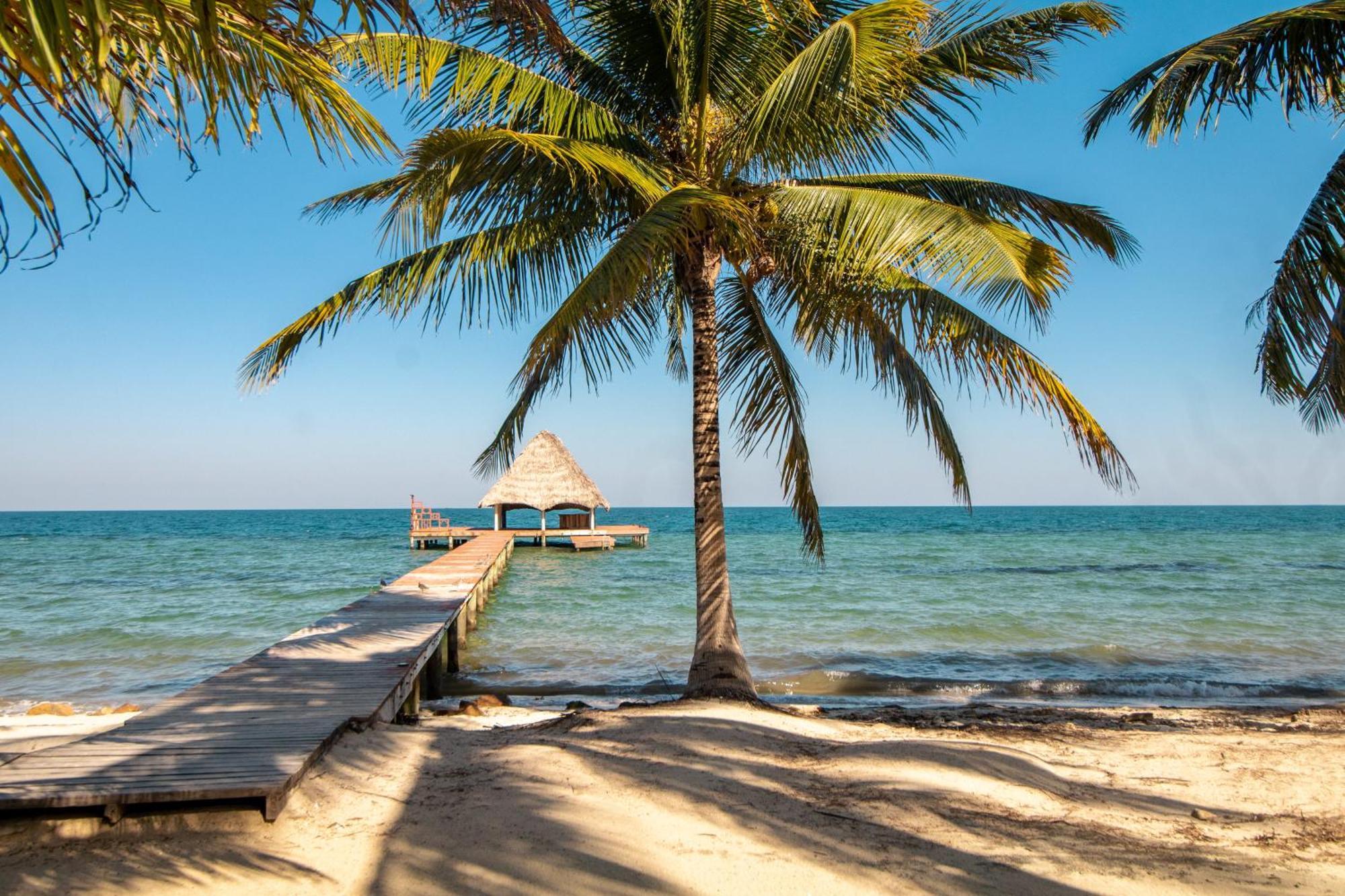 Beachside Villas Gold Standard Certified Placencia 部屋 写真