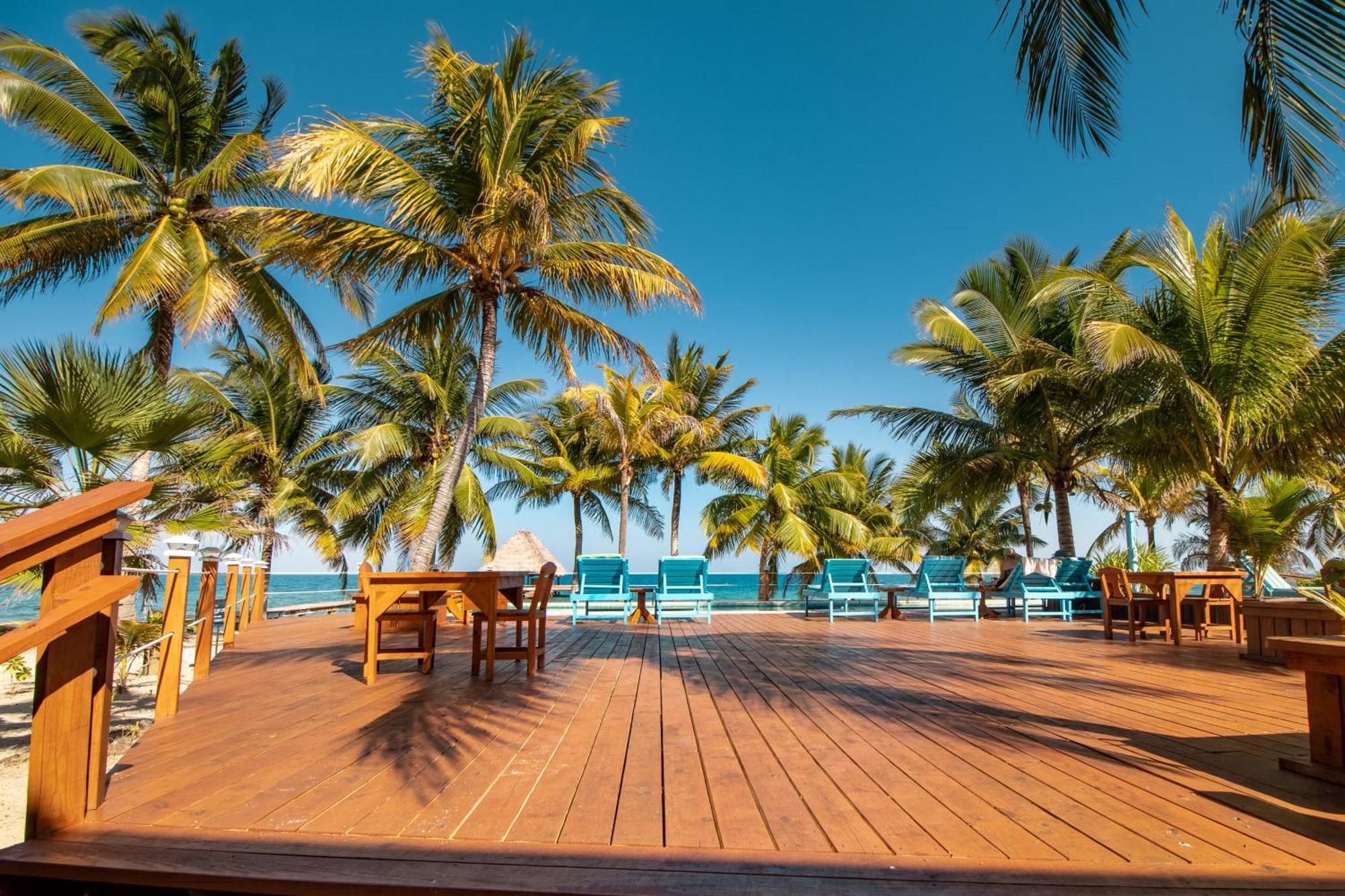 Beachside Villas Gold Standard Certified Placencia 部屋 写真