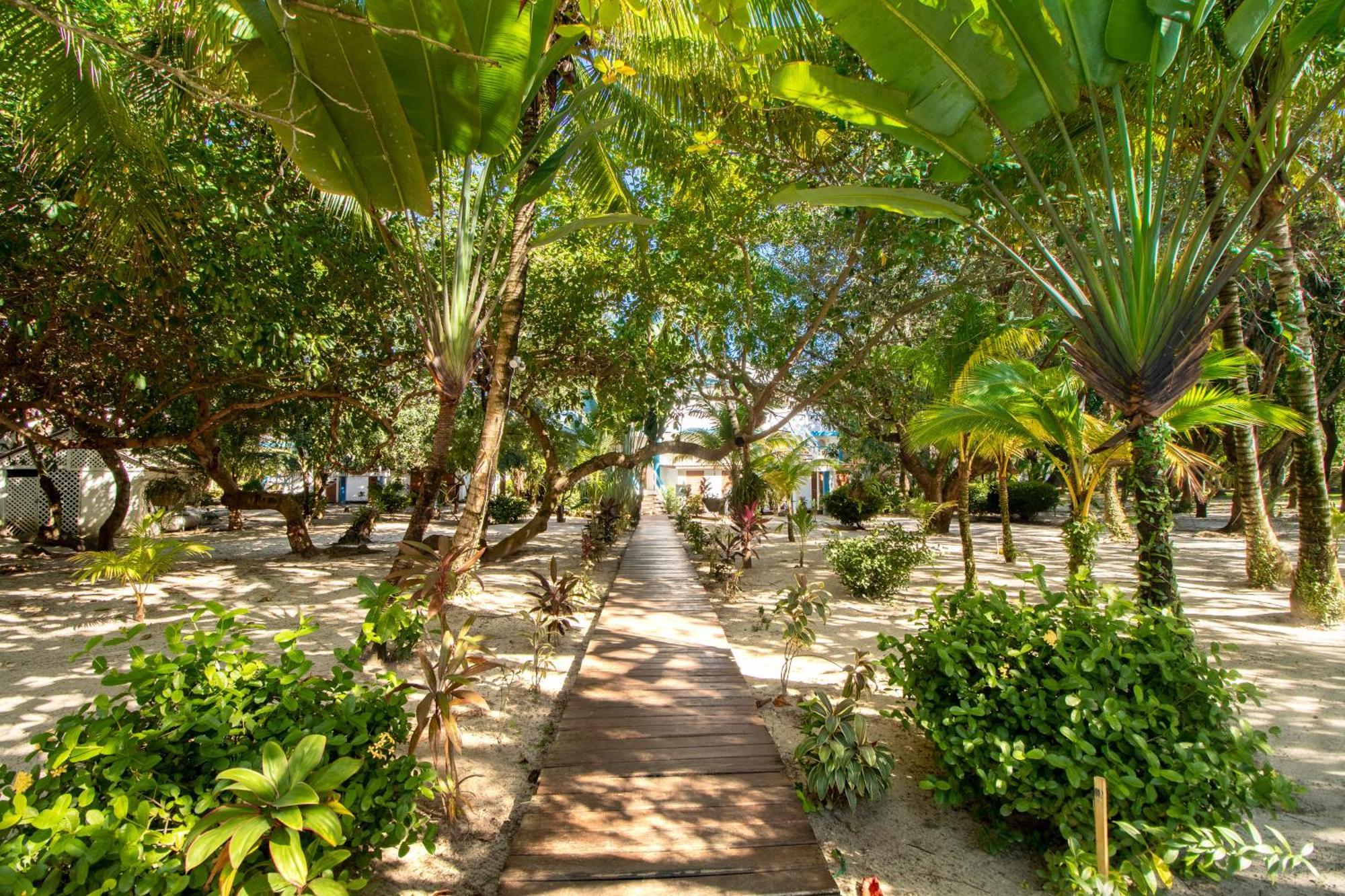 Beachside Villas Gold Standard Certified Placencia 部屋 写真