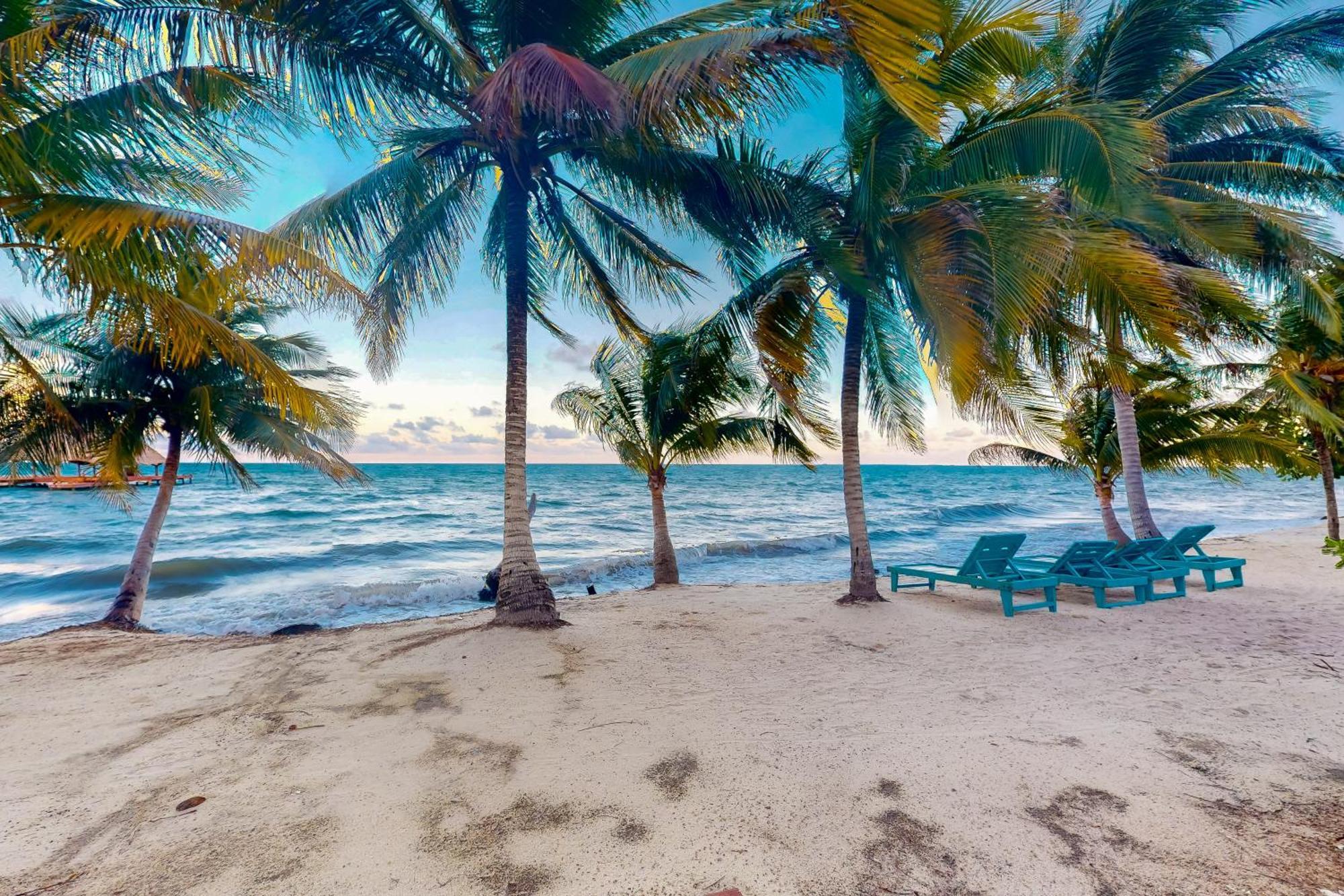 Beachside Villas Gold Standard Certified Placencia 部屋 写真